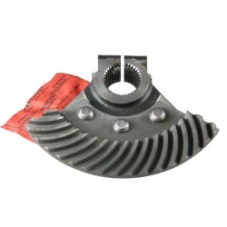 Wycinek zębaty kolumny...