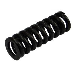 Sprężyna zatrzasku...